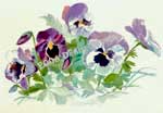 Pansies Painting by Denise Brown